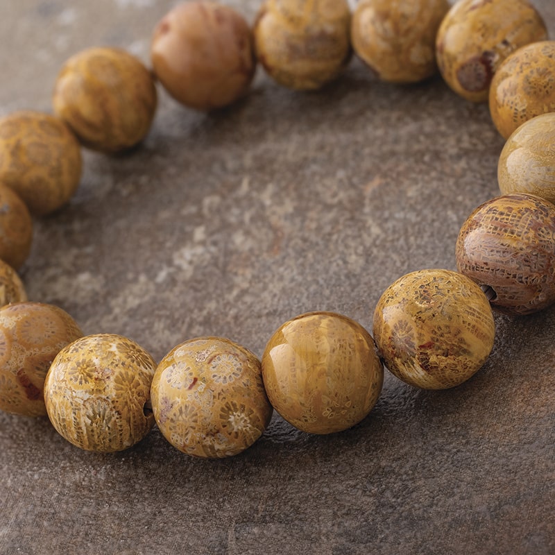 Fossil Bead Bracelet